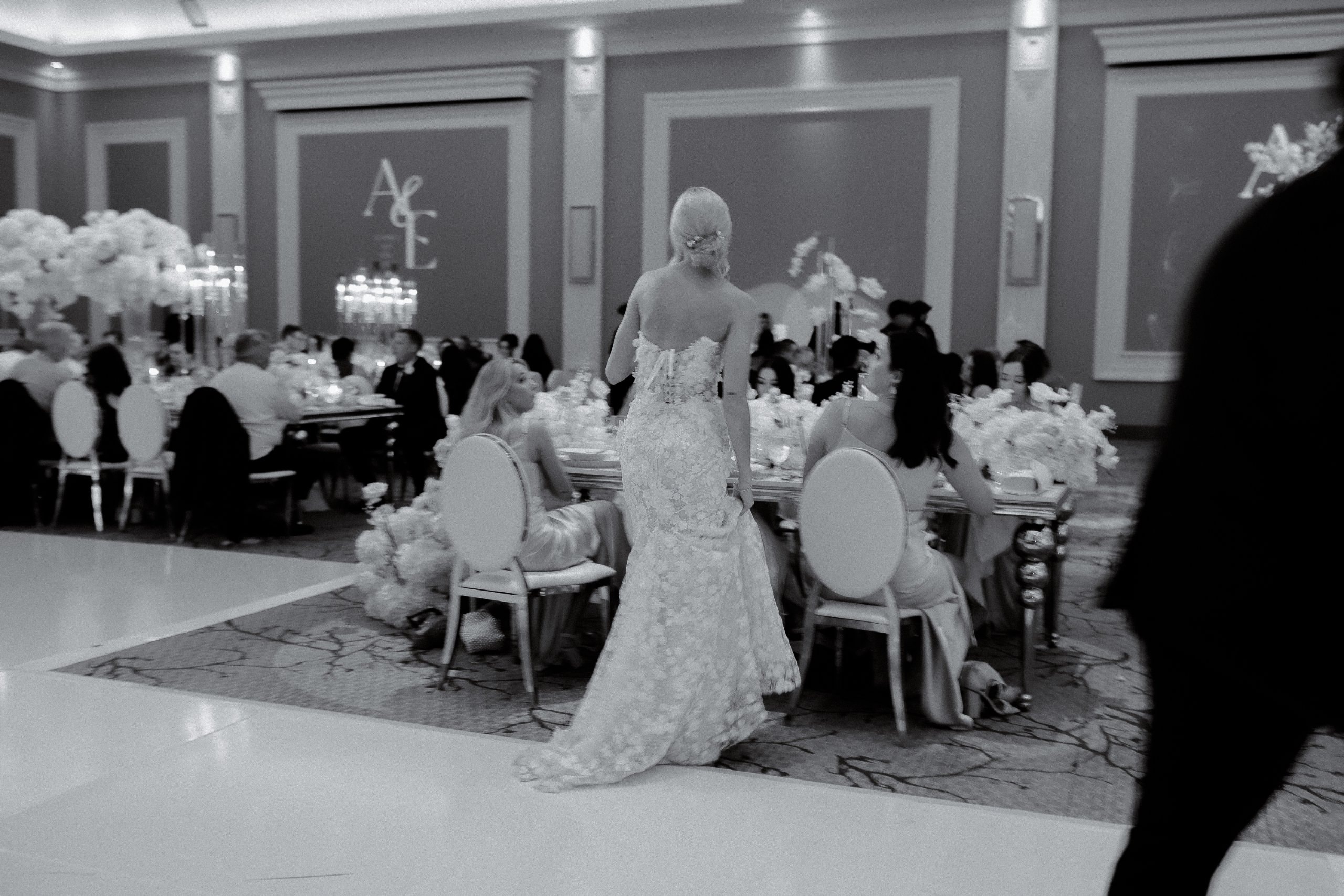 Photo 388 of 526